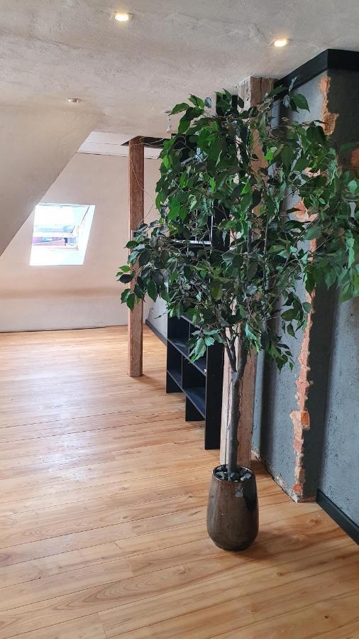 Appartement Posti Viljandi (Viljandimaa)